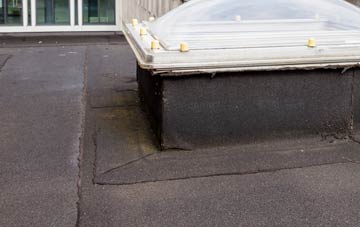 disadvantages of Dudleys Fields flat roofs