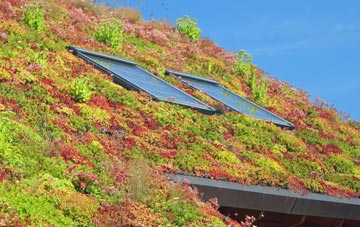 Dudleys Fields living roof systems