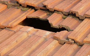 roof repair Dudleys Fields, West Midlands