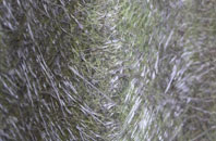 Dudleys Fields fibreglass roof work